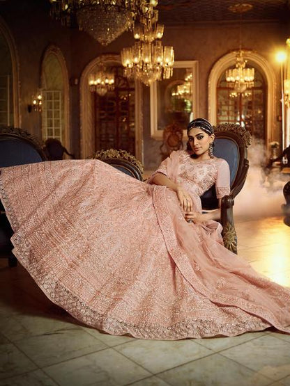 Women's  Peach Soft Net Heavy Embroidered Lehenga