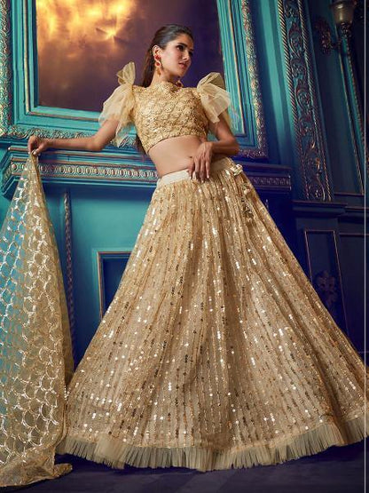 Women's  Dusky Beige Heavy Embroidered Net Lehenga