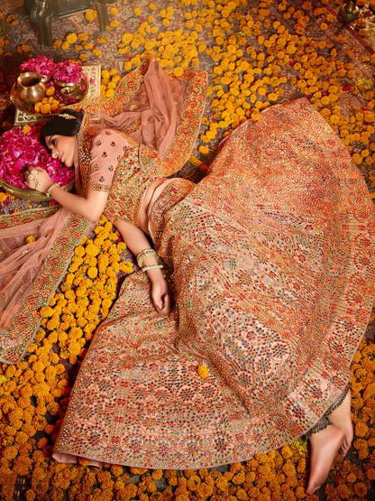 Women's  Peach And Pure Organza Embroidered Lehenga