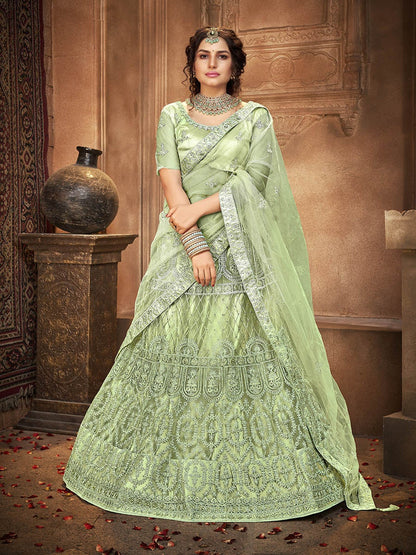 Women's Pista Heavy Embroidered Net Lehenga